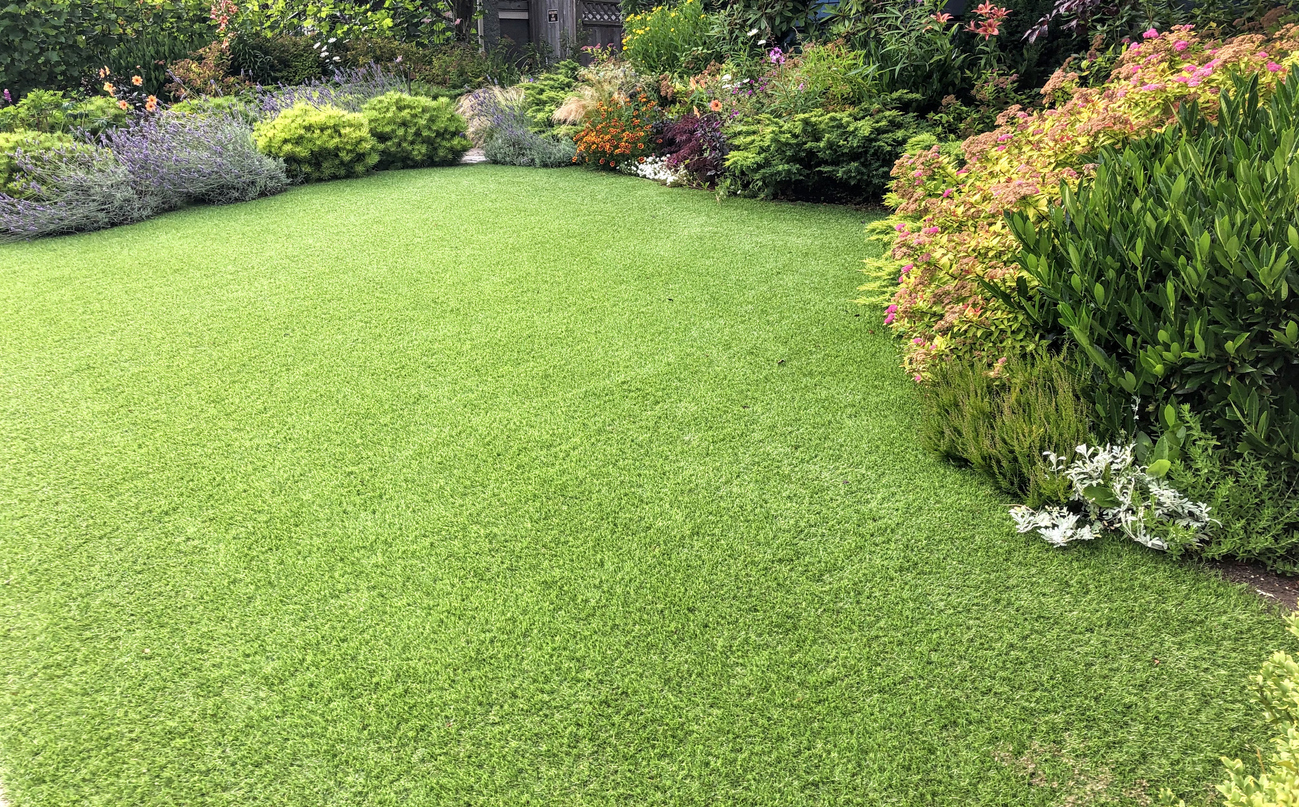 Artificial grass lawn surrounded by colourful garden plants, showing a low-maintenance alternative to natural grass for Calgary properties.
