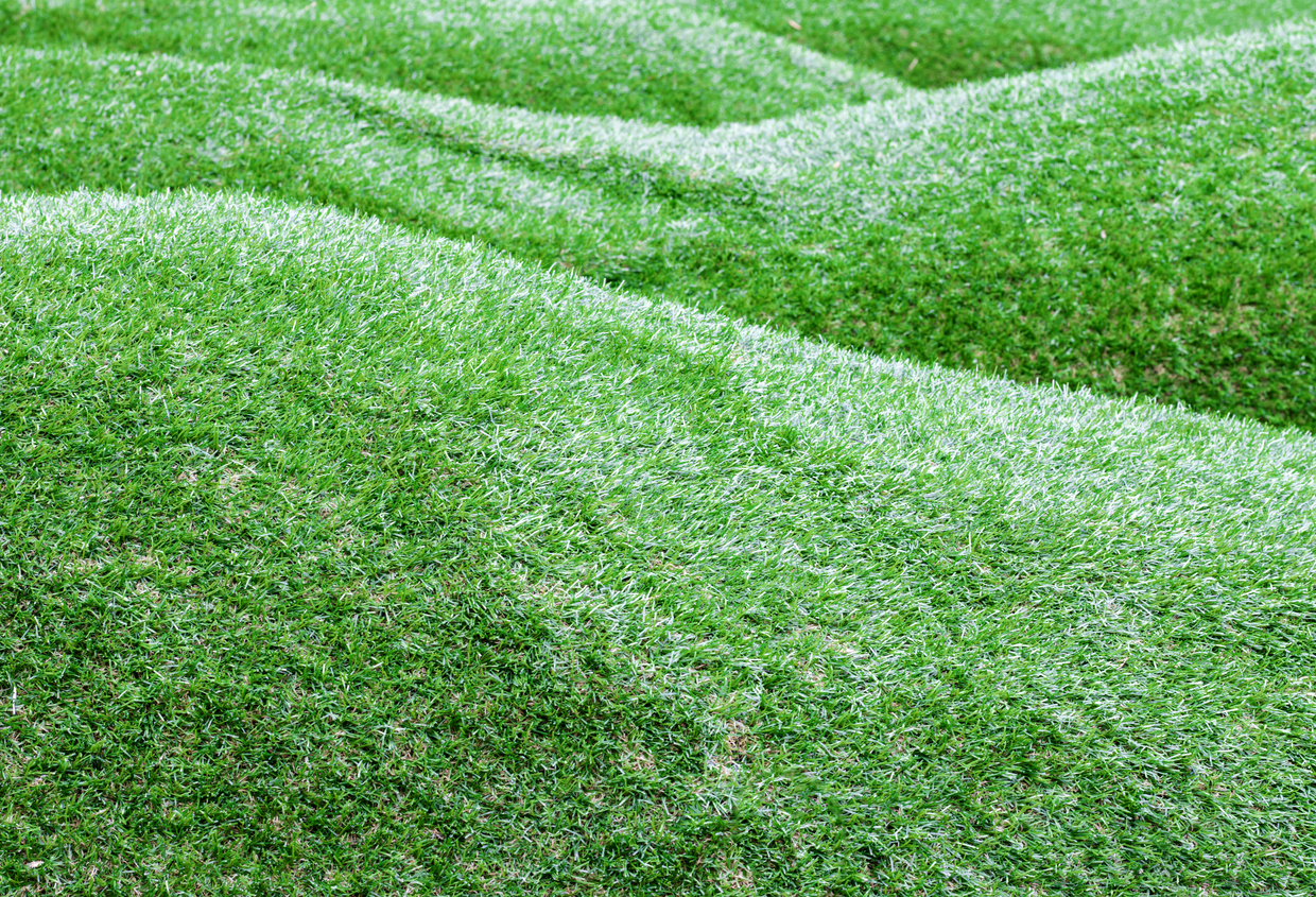 Help! There’s a Sinkhole in My Artificial Grass! 3