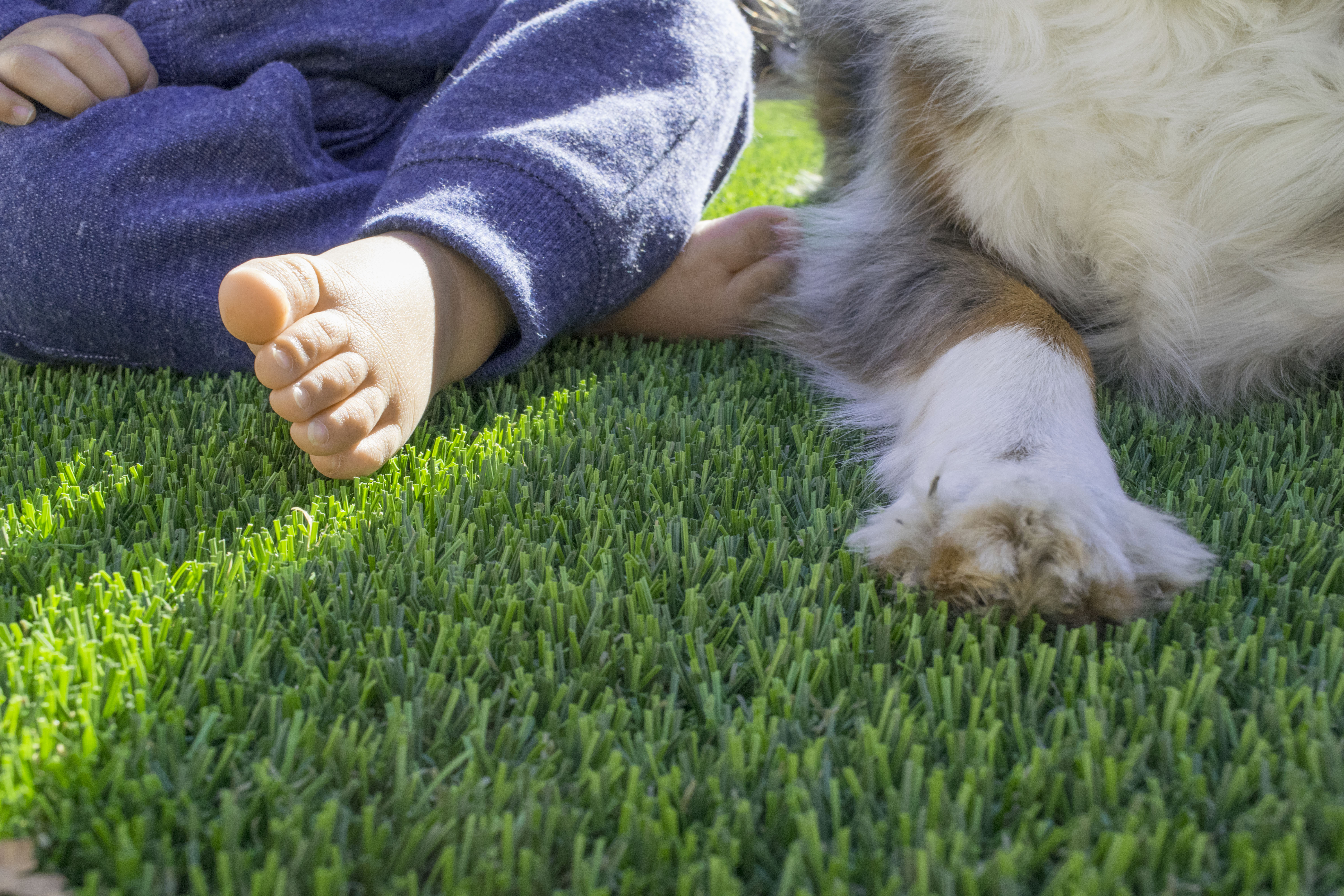 Simple Summer Synthetic Lawn Maintenance Tips 5