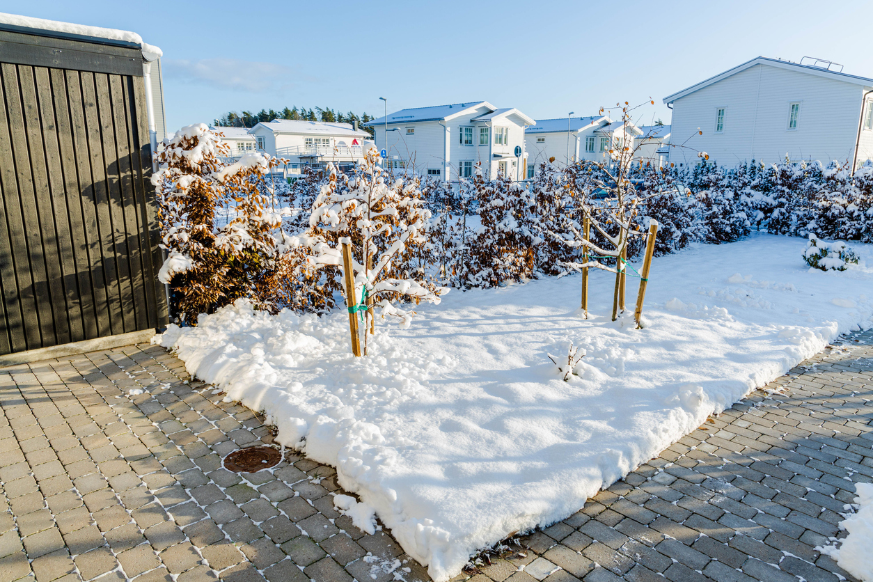 Synthetic Lawn Maintenance in the Winter 2