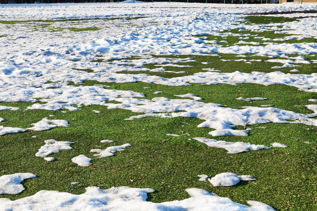 Synthetic Lawn Maintenance in the Winter 3