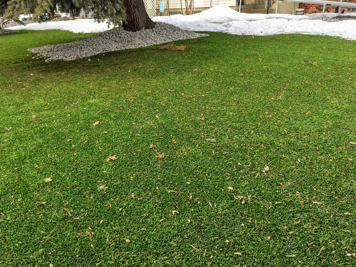 Synthetic Lawn Maintenance in the Winter 5