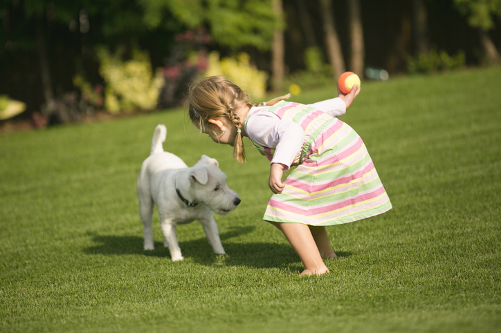 The Sniff Test How Artificial Grass Helps with Odour Control 3